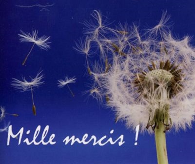 Picture of PACK MILLE MERCIS 5EX MP129
