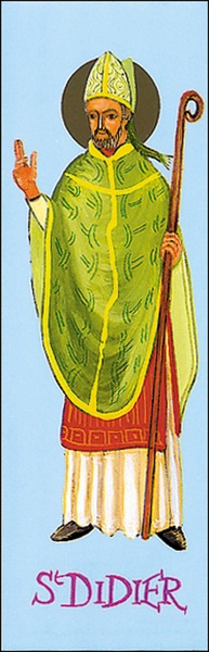 Image de DIDIER SA207 10EX