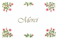 Picture of PACK MERCI ANM07 10EX