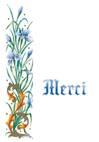 Picture of PACK MERCI ANM03 10EX