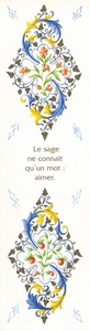 Image de PACK SIGNET GSA01 10EX