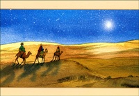 Image de PACK CARTES NOEL NAD25 5EX