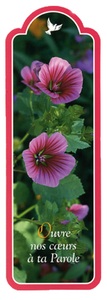 Image de PACK SIGNETS DECOUPES SD44 10EX