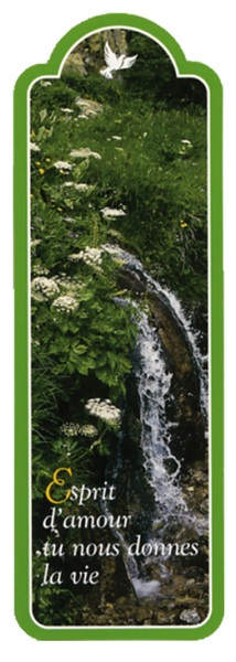 Picture of PACK SIGNETS DECOUPES SD28 10EX