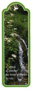 Picture of PACK SIGNETS DECOUPES SD28 10EX