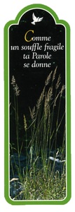 Image de PACK SIGNETS DECOUPES SD43 10EX