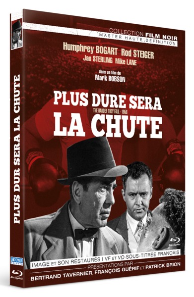 Picture of PLUS DURE SERA LA CHUTE - BRD