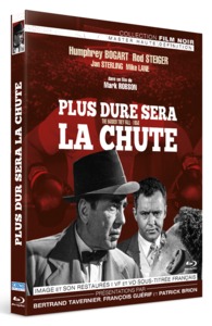 Picture of PLUS DURE SERA LA CHUTE - BRD