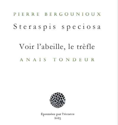 Image de Steraspis speciosa/Voir l'abeille, le trèfle