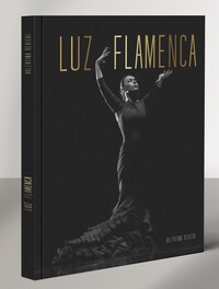 Picture of LUZ FLAMENCA