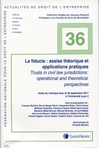 Image de la fiducie assise theorique et applications pratiques