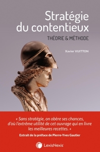 Image de strategie du contentieux