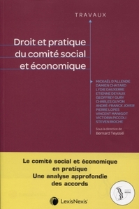 Picture of droit et pratique du comite social et economique