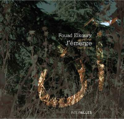 Picture of J'émerge