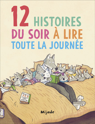 Image de 12 histoires du soir à lire toute la journée