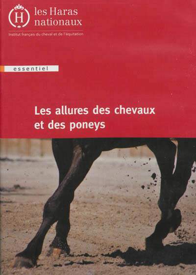 Image de Les allures des chevaux et des poneys