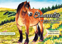 Picture of Chaussettes : le maître du Cézallier et de la Margeride