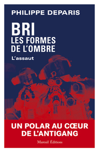 Image de BRI les formes de l'ombre - L'assaut