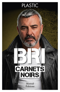 Picture of BRI, carnets noirs