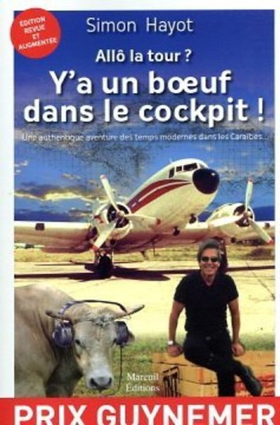 Picture of Allo la tour ? Y'a un boeuf dans le cockpit !