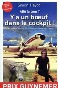 Picture of Allo la tour ? Y'a un boeuf dans le cockpit !