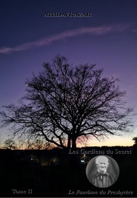 Image de Les Gardiens du Secret - tome II