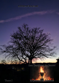 Picture of Les Gardiens du Secret - tome I