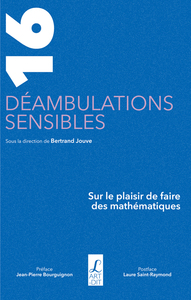 Picture of 16 déambulations sensibles