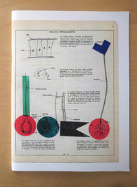 Image de Biologia grafica [extrait]