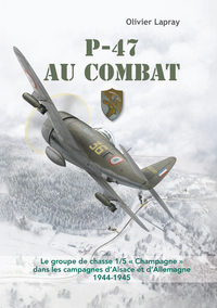 Picture of P-47 au combat