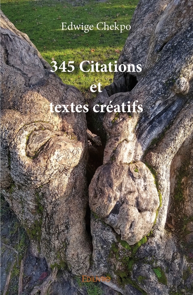 Picture of 345 citations et textes créatifs
