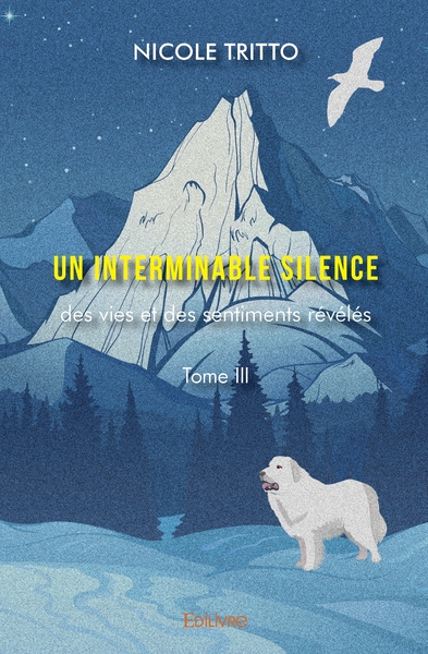 Picture of Un interminable silence - Tome 3