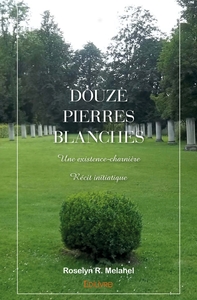 Image de Douze pierres blanches