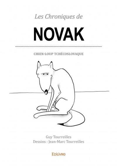 Image de Les chroniques de novak