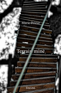 Image de Terrain miné