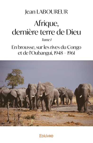 Picture of Afrique, dernière terre de Dieu - Tome 1