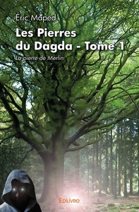 Image de Les Pierres du Dagda - Tome 1