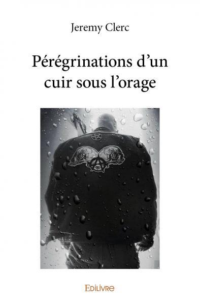 Picture of Pérégrinations d'un cuir sous l'orage