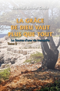 Picture of La grâce de Dieu vaut plus que tout - Tome 2