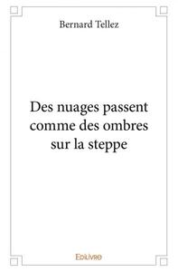 Picture of Des nuages passent comme des ombres sur la steppe