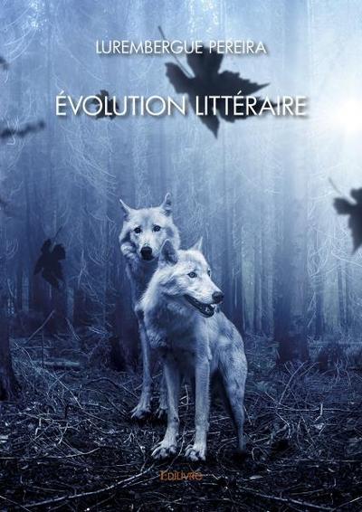 Image de évolution littéraire