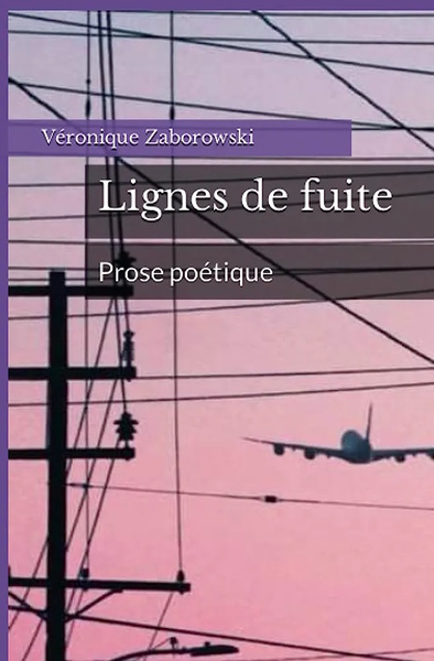 Picture of Lignes de fuite