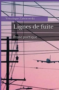 Picture of Lignes de fuite