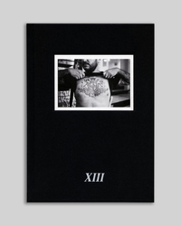 Picture of XIII