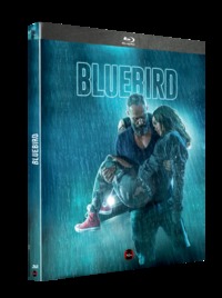 Picture of BLUEBIRD - BRD