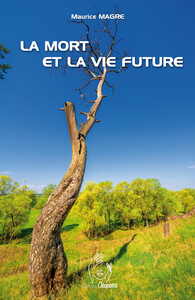 Picture of La Mort et la vie future
