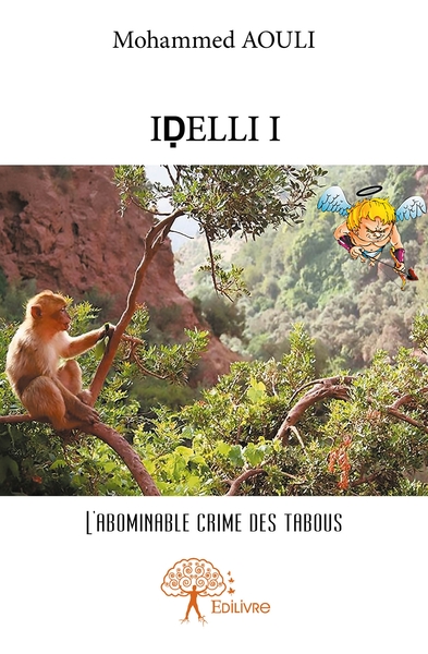 Image de IDELLI - Tome 1