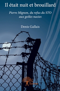 Picture of Il était nuit et brouillard