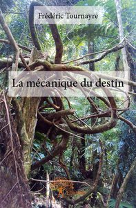 Image de La mécanique du destin