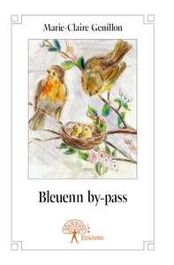 Image de Bleuenn by-pass